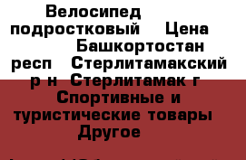 Велосипед Larsen (подростковый) › Цена ­ 4 500 - Башкортостан респ., Стерлитамакский р-н, Стерлитамак г. Спортивные и туристические товары » Другое   